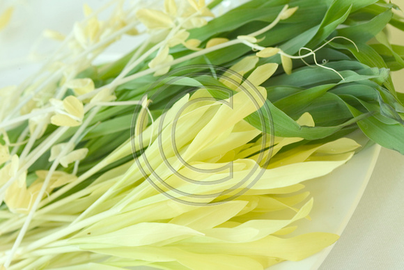 Lemon Grass and Sprouts