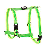 Dog Leashes-Collars