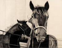 23x17-Restino Horses